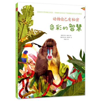 �����Լ������ܡ�ɫ�ʵ��ǻ�