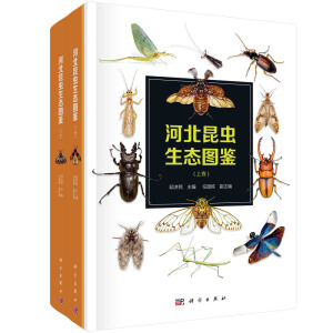 �ӱ����x���B(t��i)�D�b���Ͼ����¾���