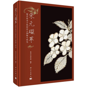 ��Ԫ���͡������ݸGұ�ӸGַ���������c�о�