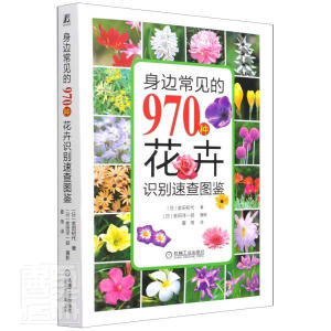 ��߅��Ҋ��970�N�����R(sh��)�e�ٲ�D�b������(j��)�����ɫ��ʢ�_����(ji��)�R(sh��)�e���^�p���B(y��ng)�o(h��)һ��ͨ��