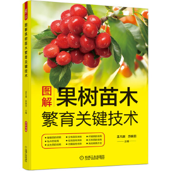 �D�����(sh��)��ľ�����P(gu��n)�I���g(sh��)��12�N����(sh��)�޽�������ľ����(sh��)�����������硢�w������Ǥ�������ľ����������