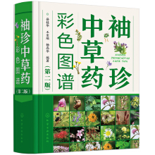 �����в�ˎ��ɫ�D�V���ڶ��棩