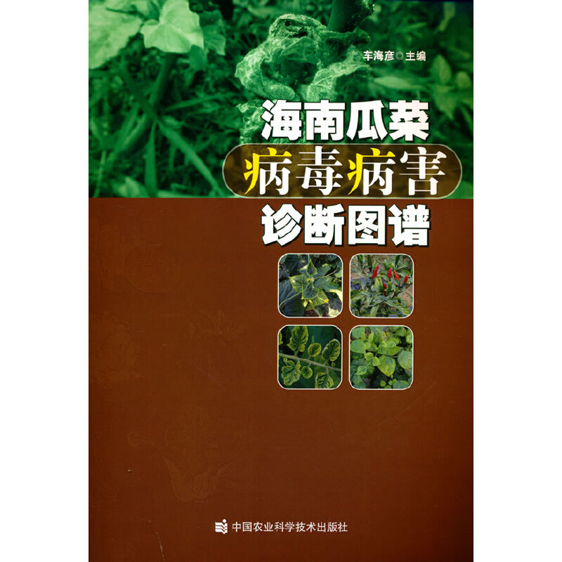 ���Ϲϲ˲��������\���D�V