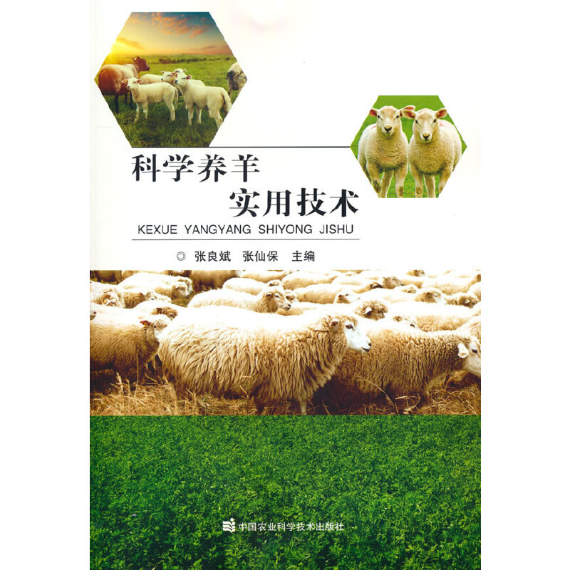 �ƌW(xu��)�B(y��ng)��?q��)��ü��g(sh��)