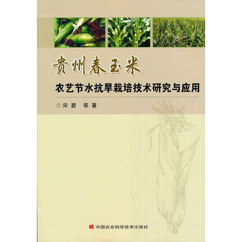 �F�ݴ������rˇ��(ji��)ˮ�������༼�g�о��c����