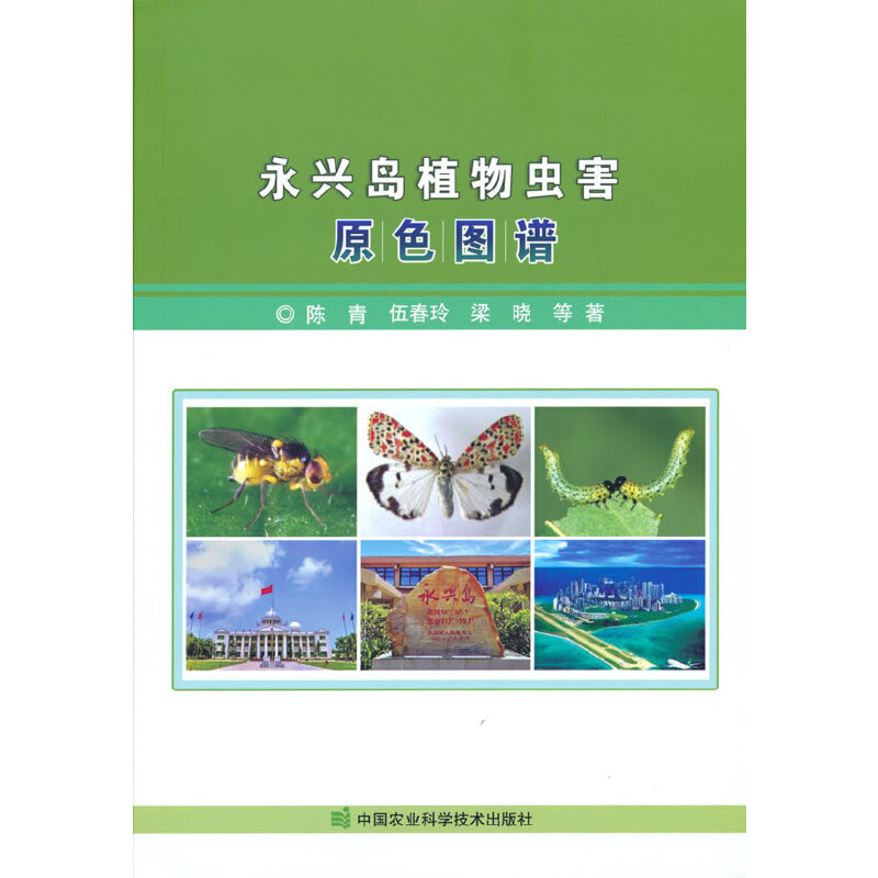 ���d�uֲ���x��ԭɫ�D�V