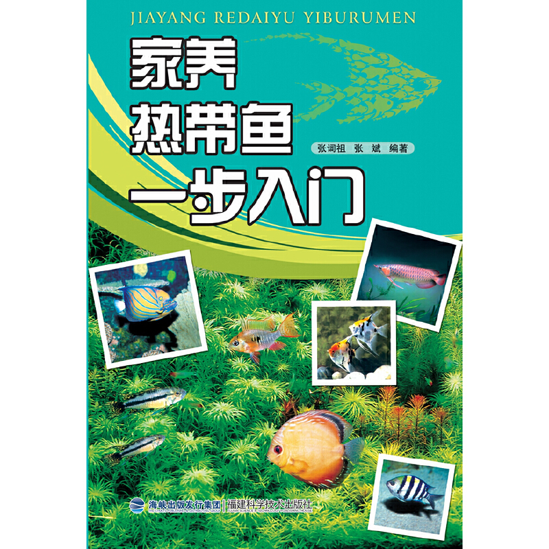 ���B(y��ng)�Ꭷ�~һ�����T