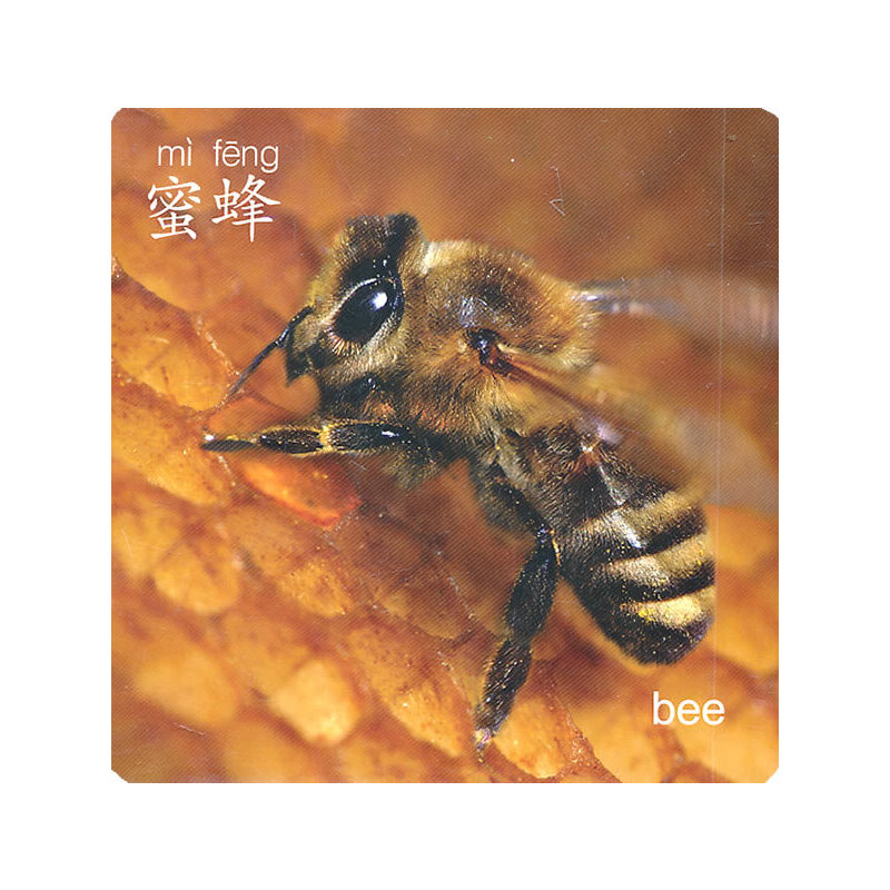 �������p�Z���ɿ�Ƭ�������