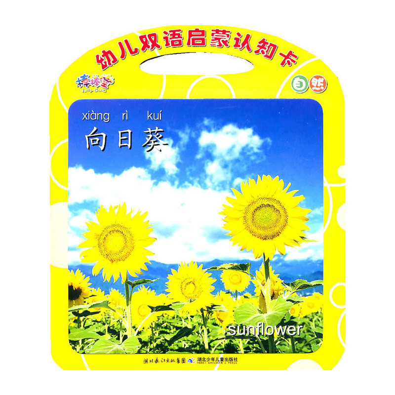 �������p�Z���ɿ�Ƭ����Ȼ����