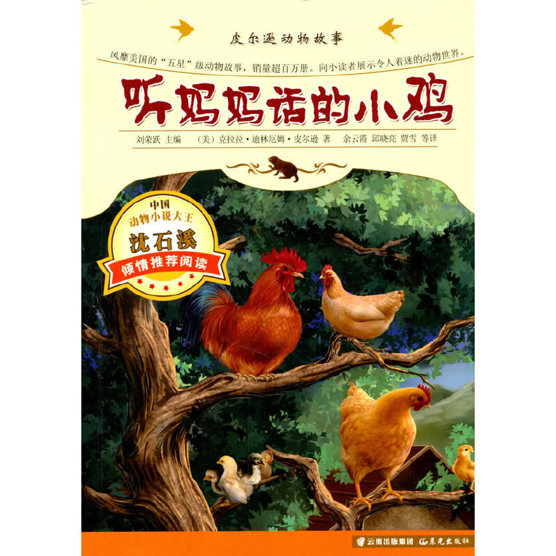 Ƥ���d��(d��ng)������- ����Ԓ��С�u