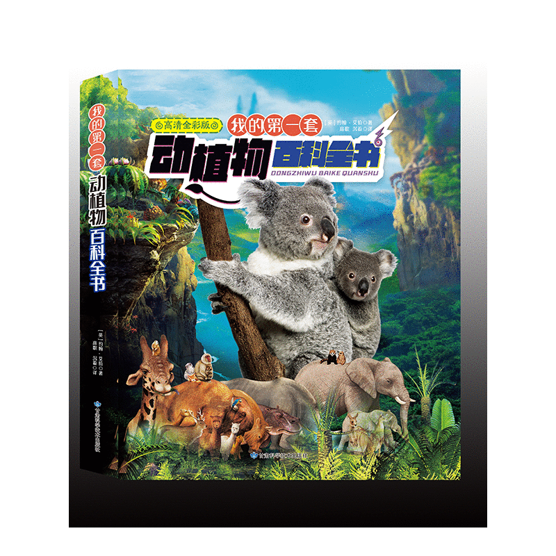 �ҵĵ�һ�ׄ�(d��ng)ֲ��ٿ�ȫ����ȫ6��(c��)��