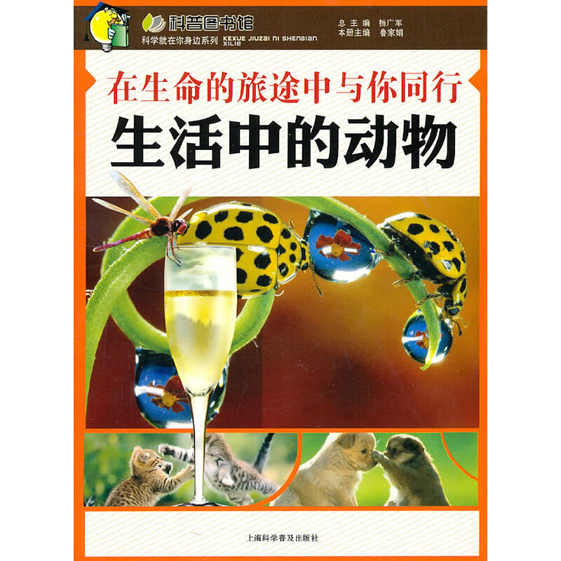 ����������;���c��ͬ�С������еĄ���