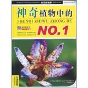 ����ֲ���е�NO.1/�ƌW(xu��)��ҕҰ