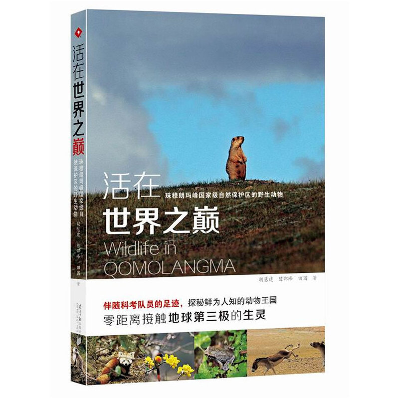 ����������֮�p�������ʬ����(gu��)�Ҽ�(j��)��Ȼ���o(h��)�^(q��)��Ұ����(d��ng)����塰�O�����o����ʏһƬ�����f���J(r��n)֪��181�N��ϡ�r��ĸ�ԭ��