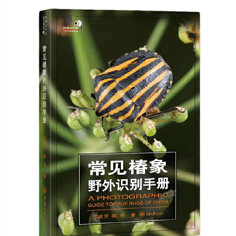 ��Ҋ����Ұ���R�e�փ�