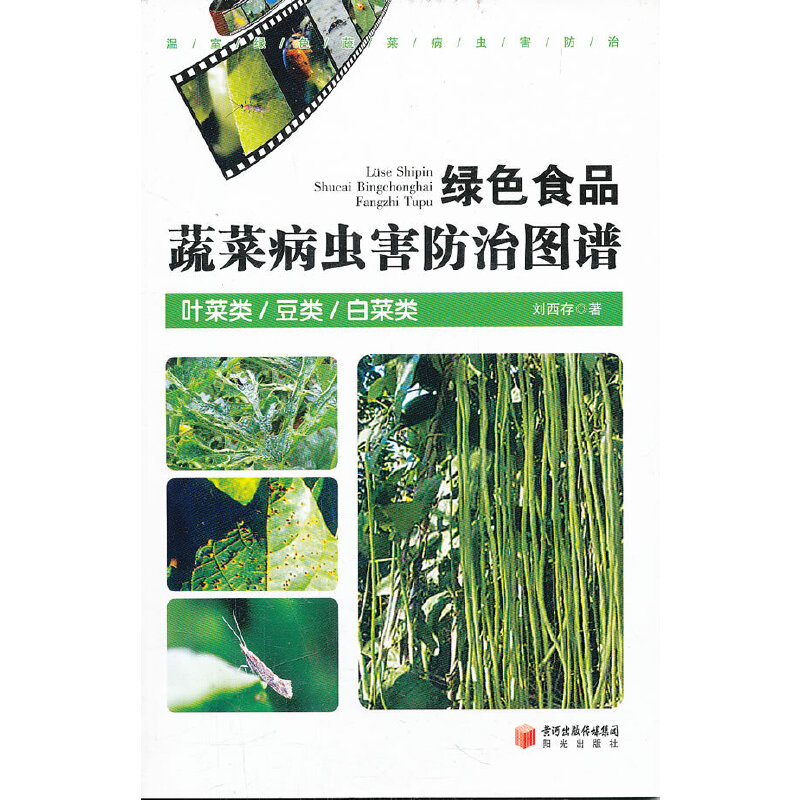 �GɫʳƷ�߲˲��x�����ΈD�V:�~�����������ײ��