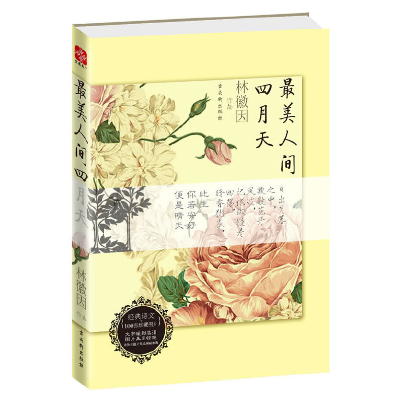 �������g������