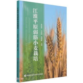 ����ƽԭ����С������