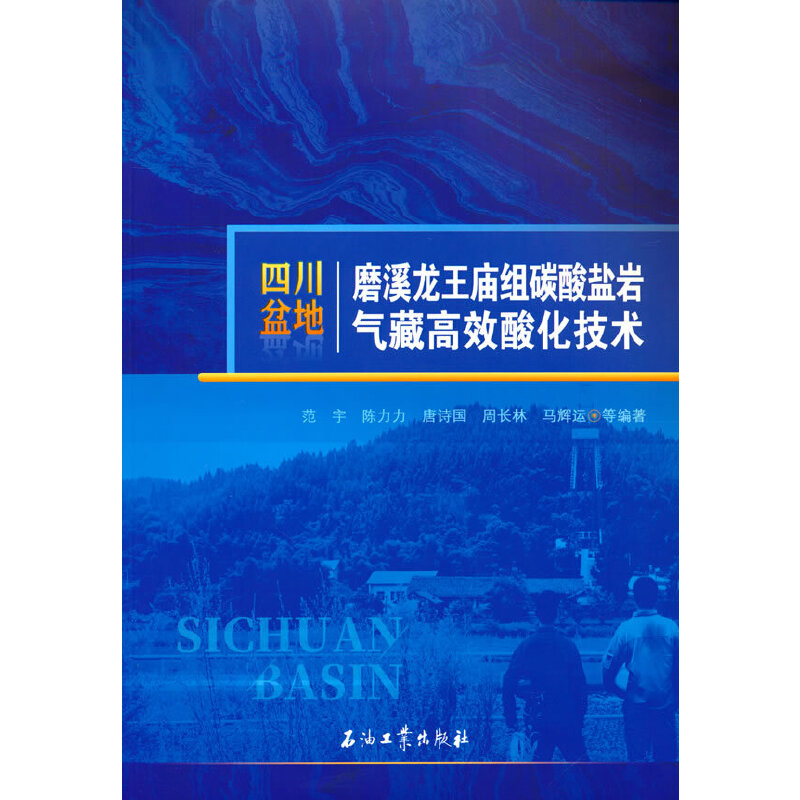 �Ĵ����ĥϪ�����R�M̼���}�r��ظ�Ч�ữ���g(sh��)