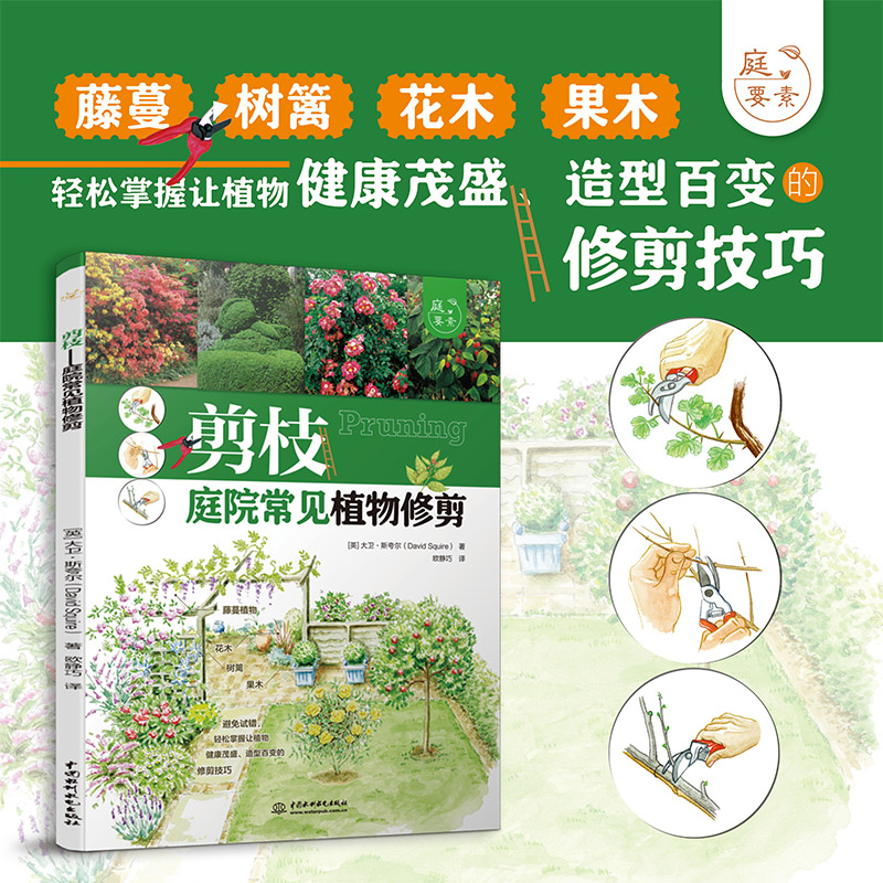 ��֦����ͥԺ��Ҋֲ���޼���ͥҪ�أ�