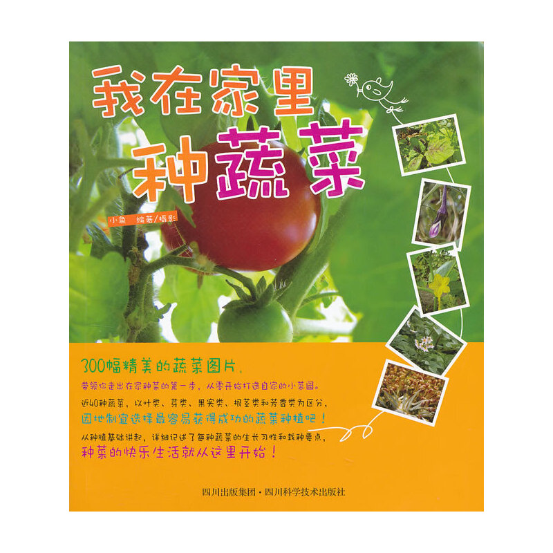 ���ڼ���N�߲�