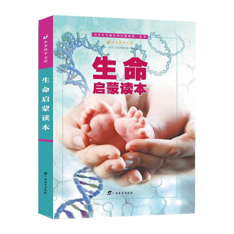 ���������x�������b��