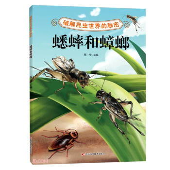 �ƽ����x��������ܡ���������