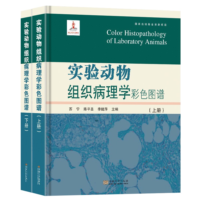 ��(sh��)�(y��n)��(d��ng)��M������W(xu��)��ɫ�D�V