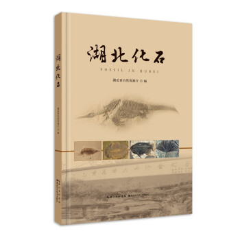 ������ʯ