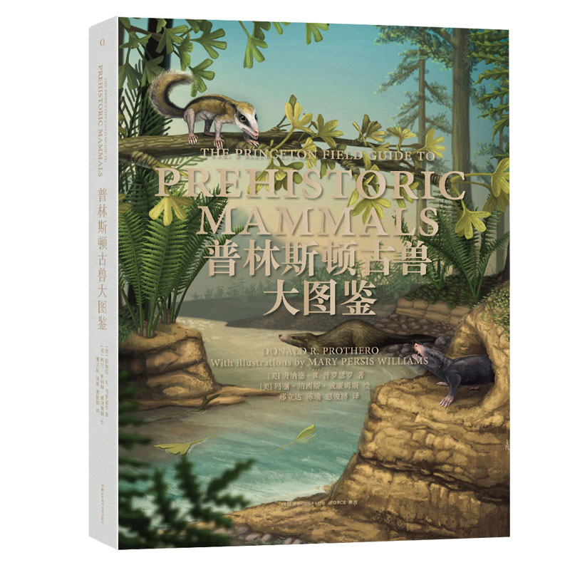 ����˹�D�ūF��D�b