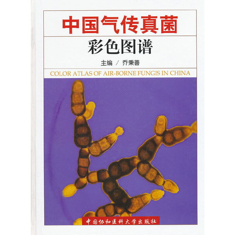 �Ї���������ɫ�D�V