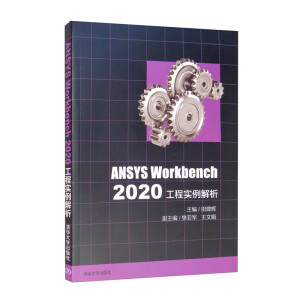 ANSYS Workbench 2020���̌�������