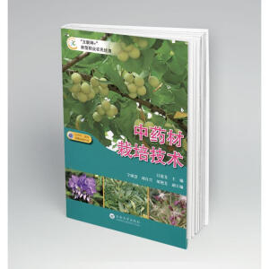 ��ˎ�����༼�g(sh��)