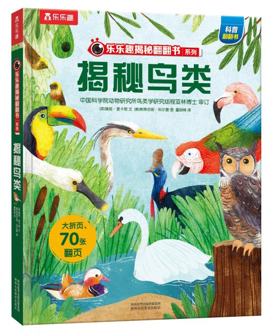 ��(l��)��(l��)Ȥ���ط�����(sh��)ϵ�е���݋ �����B(ni��o)�(l��i)