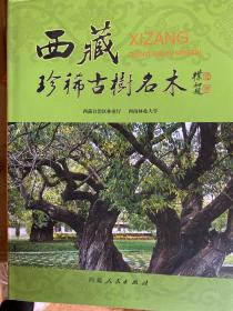 ������ϡ�Ř���ľ