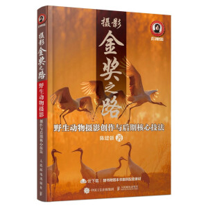 �zӰ��֮· Ұ������zӰ��(chu��ng)���c���ں��ļ���