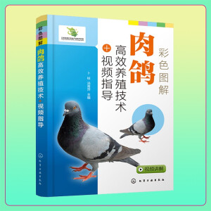 ��ɫ�D��������Ч�B(y��ng)ֳ���g(sh��)+ҕ�lָ��(d��o)