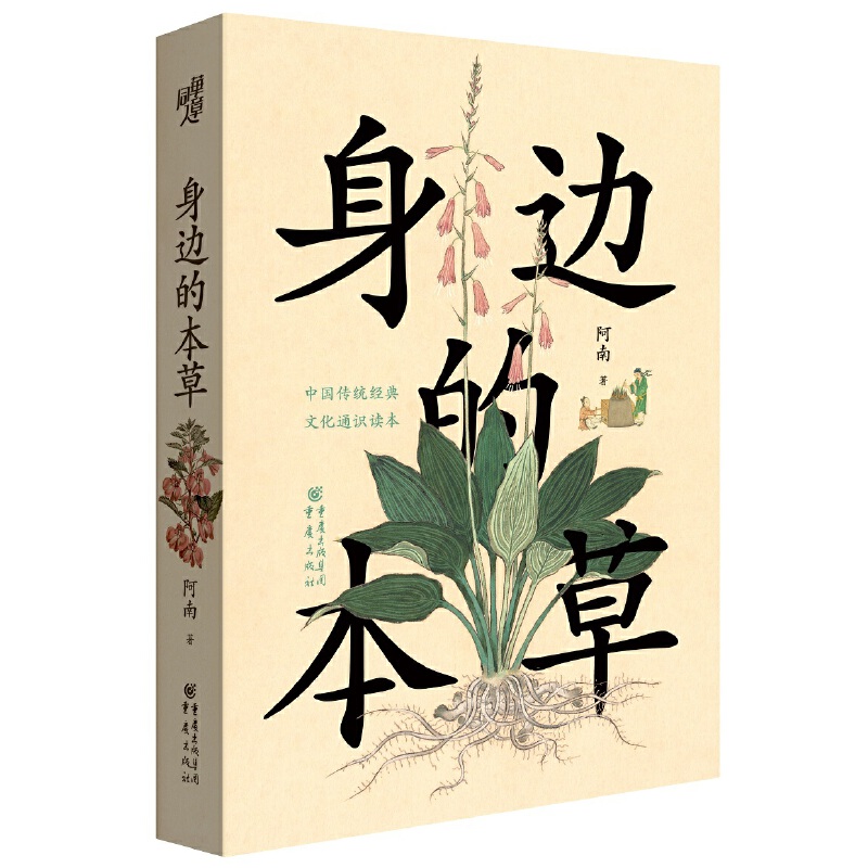 ��߅�ı���