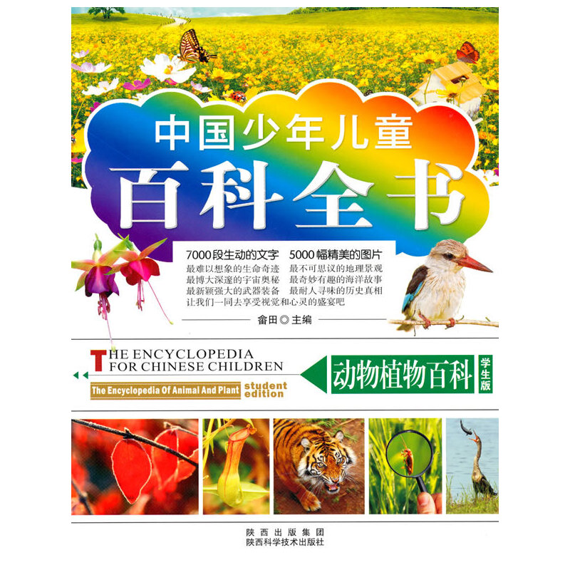 �ٿ�ȫ��-����ֲ��ٿ�