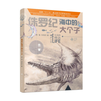 �����ļ�(d��ng)��٪�_�o(j��)���еĴ�(g��)��