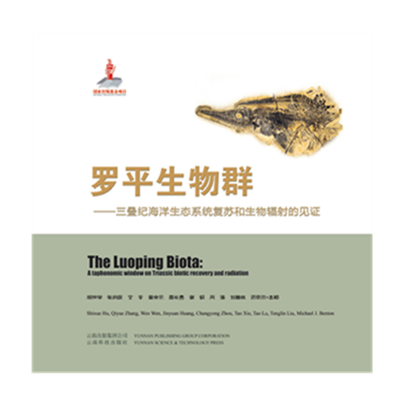 �_ƽ����Ⱥ