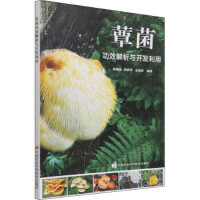 ަ����Ч�����c�_�l(f��)����