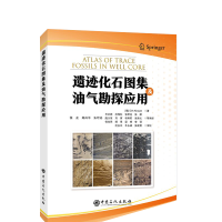 �z�E��ʯ�D�����͚⿱̽��(y��ng)��