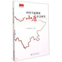 �Ĵ�ȫ�潨��С������о�