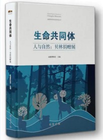 ������ͬ�w