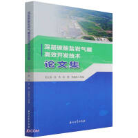 ���̼���}�r��ظ�Ч�_(k��i)�l(f��)���g(sh��)Փ�ļ�