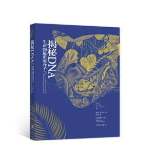 ����DNA������������Ҫ���ӣ�������ӆ�棩