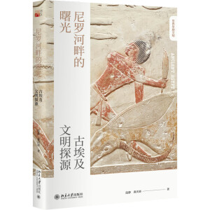 ���_���ϵ����:�Ű�������̽Դ