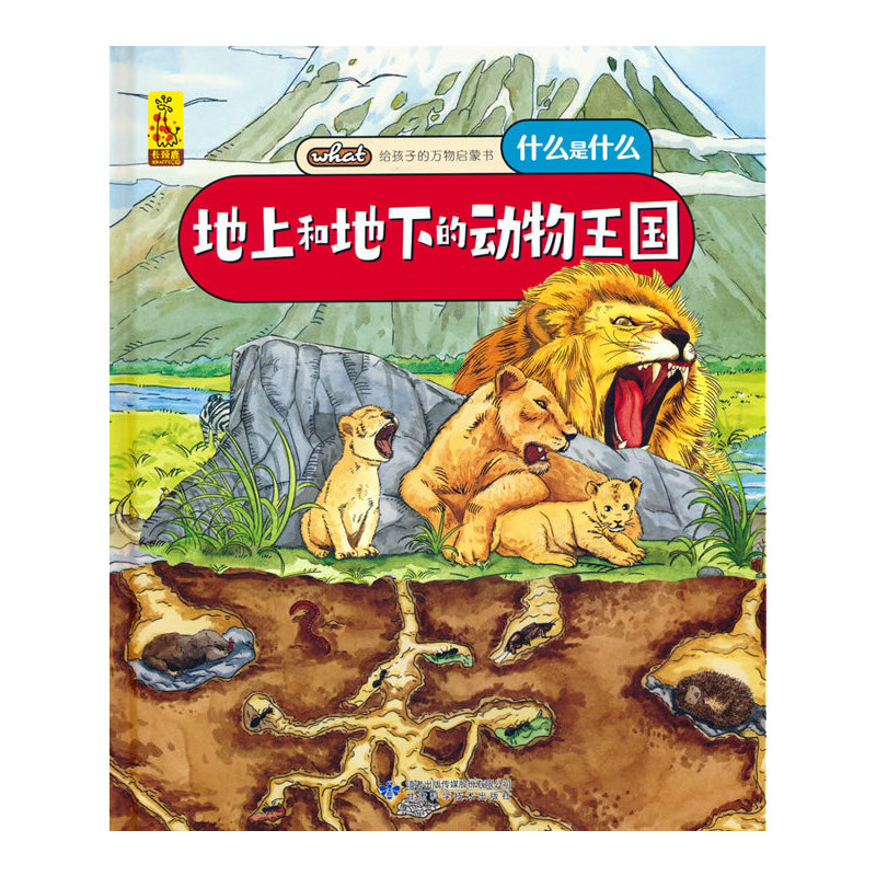 �o���ӵ��f��ɕ������Ϻ͵��µĄ�(d��ng)������