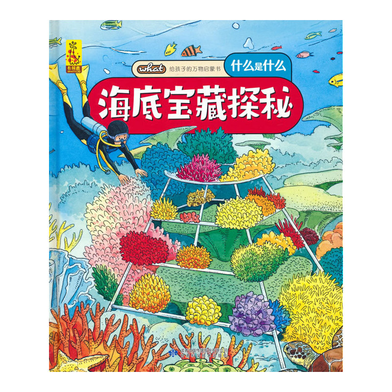 �o���ӵ��f(w��n)��ɕ������׌���̽��